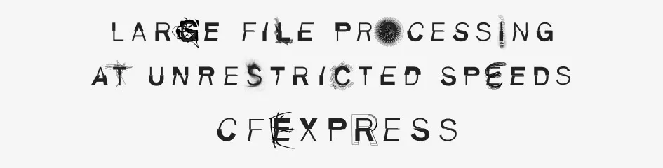 Karty pamięci Angelbird AV Pro CFexpress 2.0 Type B 256GB (1700 MB/s) Match Pack dla Nikon Z6, Z